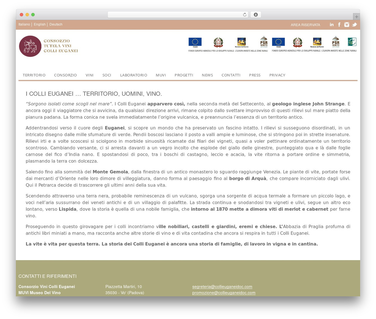 ypsilon WordPress theme - collieuganeidoc.com