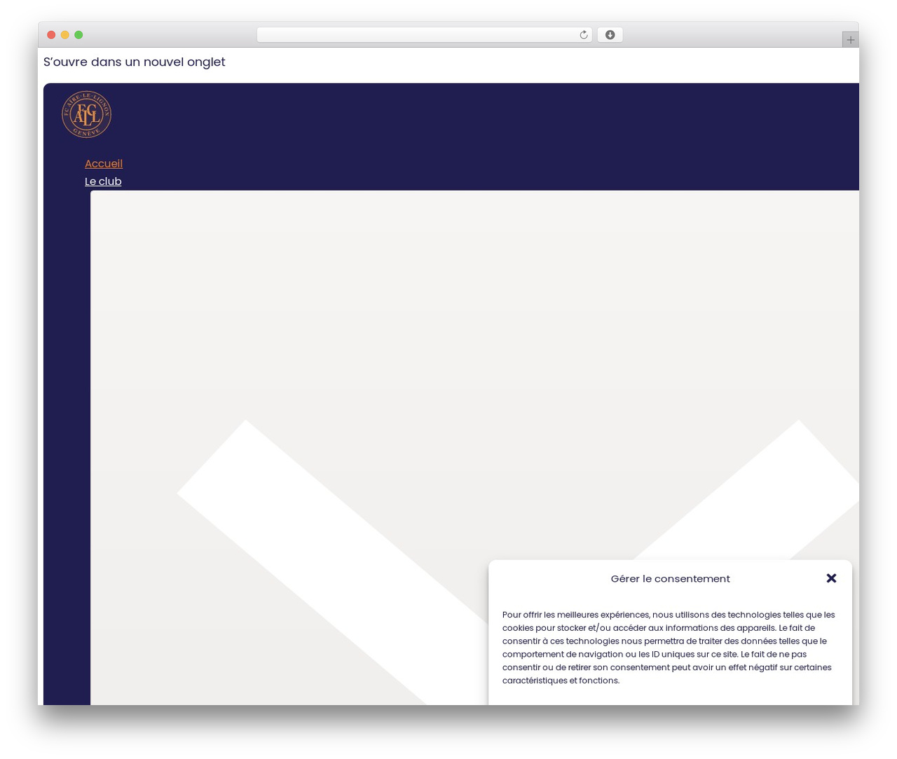 Bricks WordPress theme - fcall.ch