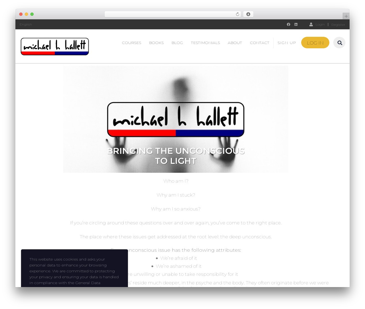 MasterStudy WordPress website theme - michaelhhallett.com