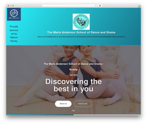 Algori Video and Image Slider (algori-image-video-slider) free WordPress plugin - mariaandersonschoolofdance.com Algori Video and Image Slider (algori-image-video-slider) free WordPress plugin - mariaandersonschoolofdance.com