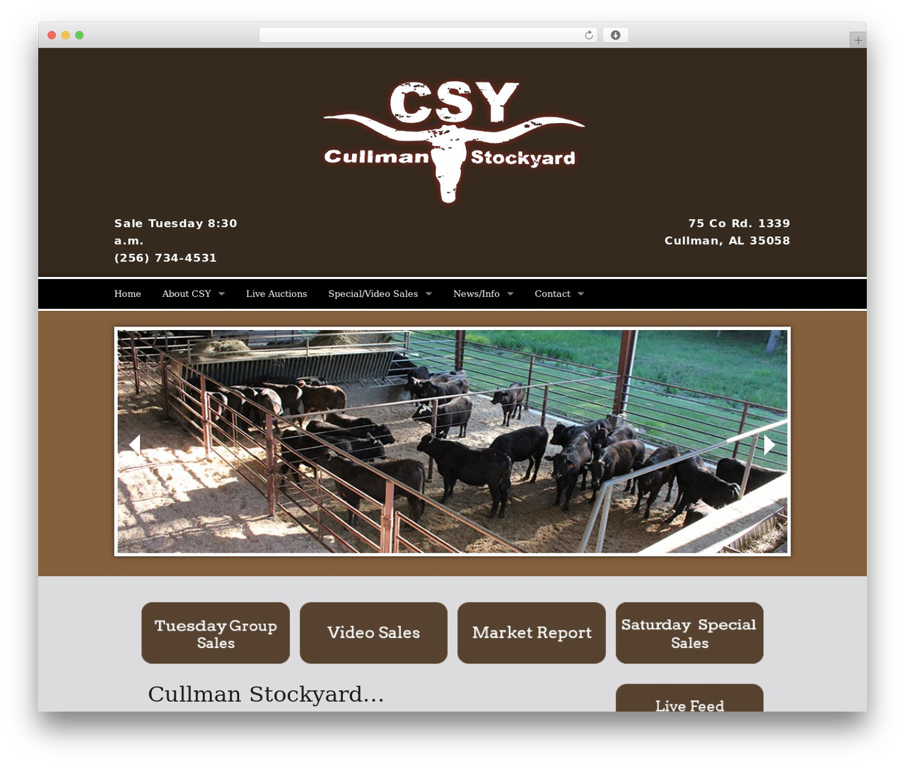 Reactor theme WordPress - cullmanstockyard.com Reactor theme WordPress - cullmanstockyard.com