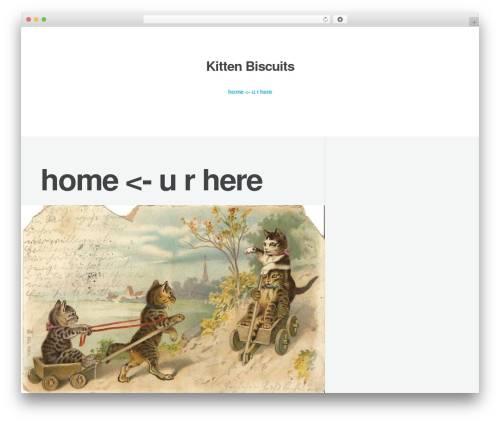 Meanthemes tools WordPress plugin - kittenbiscuits.com