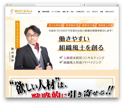 WordPress theme Lightning Pro Child Sample - mizukara-career.com