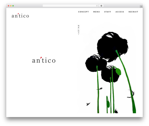 WordPress theme theme_antico - antico.cc