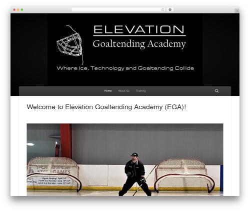 Wp client WordPress plugin - elevationgoaltendingacademy.com