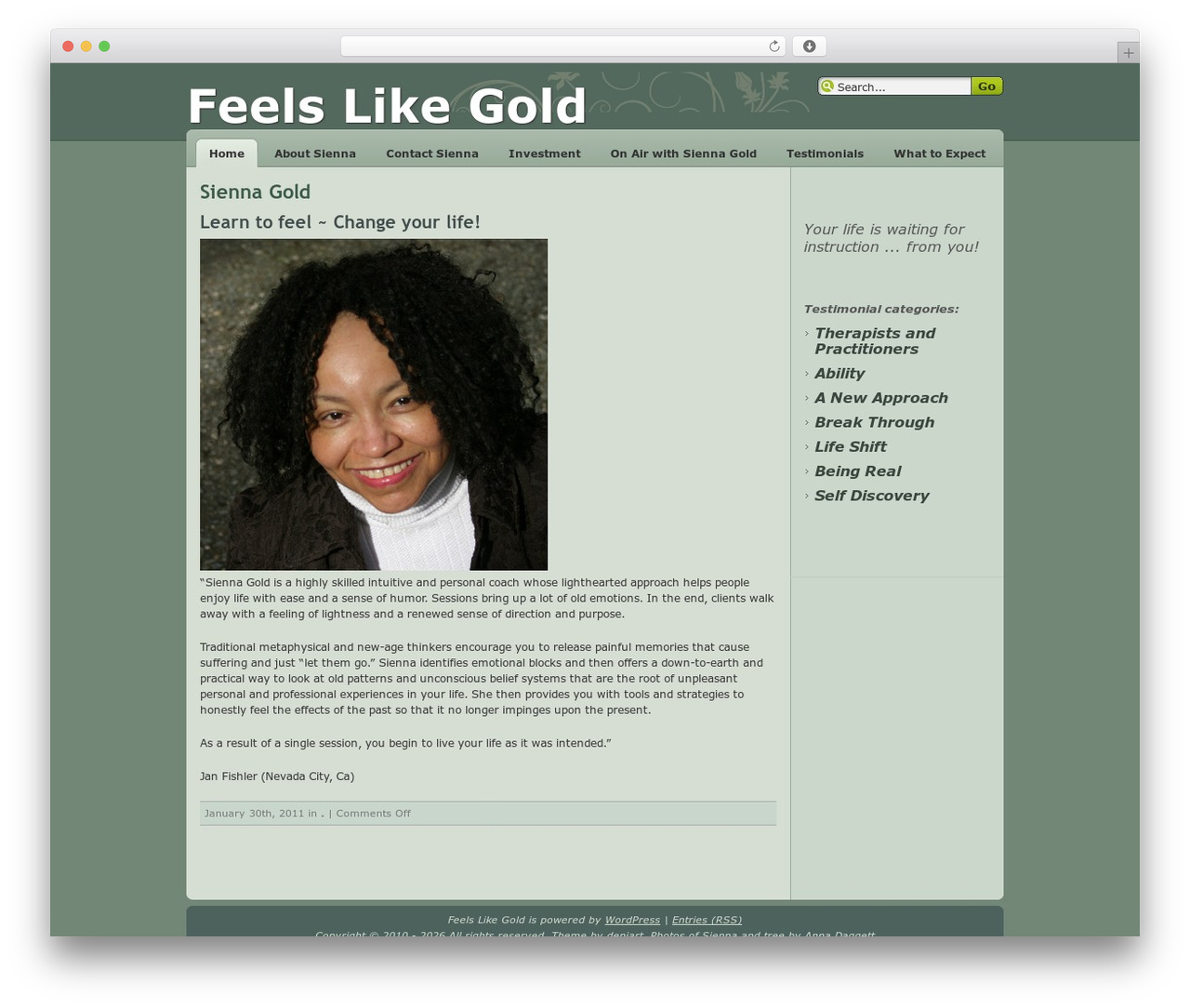 Devart WordPress theme - feelslikegold.com Devart WordPress theme - feelslikegold.com