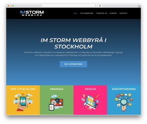 Divi theme WordPress - imstorm.com