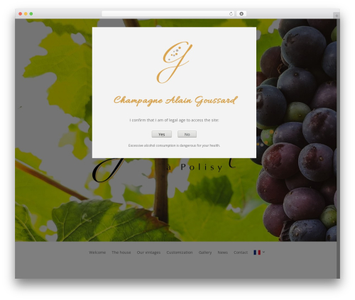 Age Gator (age-gate-plus) free WordPress plugin - champagne-alaingoussard.com
