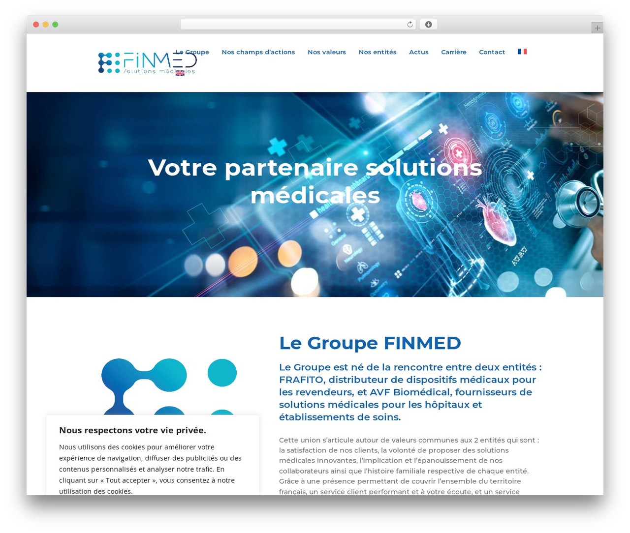 Divi WordPress theme - finmedgroup.com