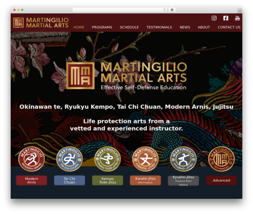 Puffin Theme WordPress theme - martialarts-madison.com