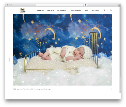 Theme WordPress Oculus - cerentiryaki.com