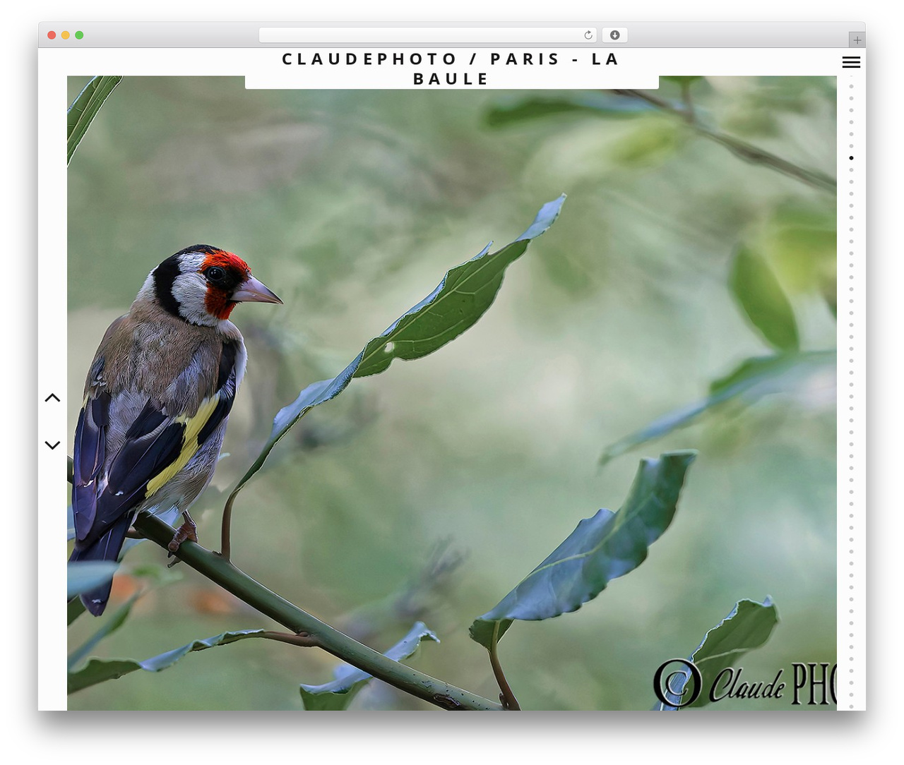 Border WordPress theme - claudephoto.com