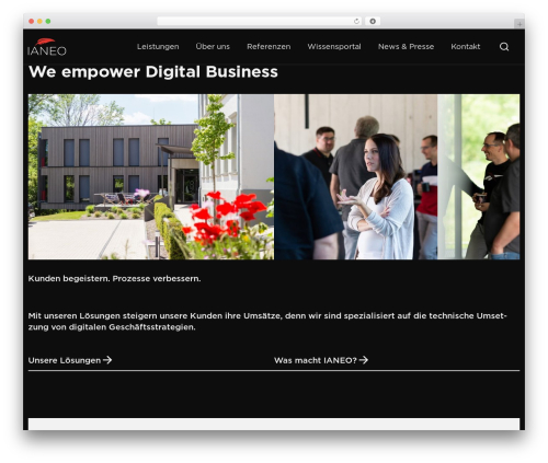 Media focus point WordPress plugin - ianeo.de