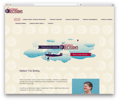 Everest best WordPress theme - curiousdecisions.com