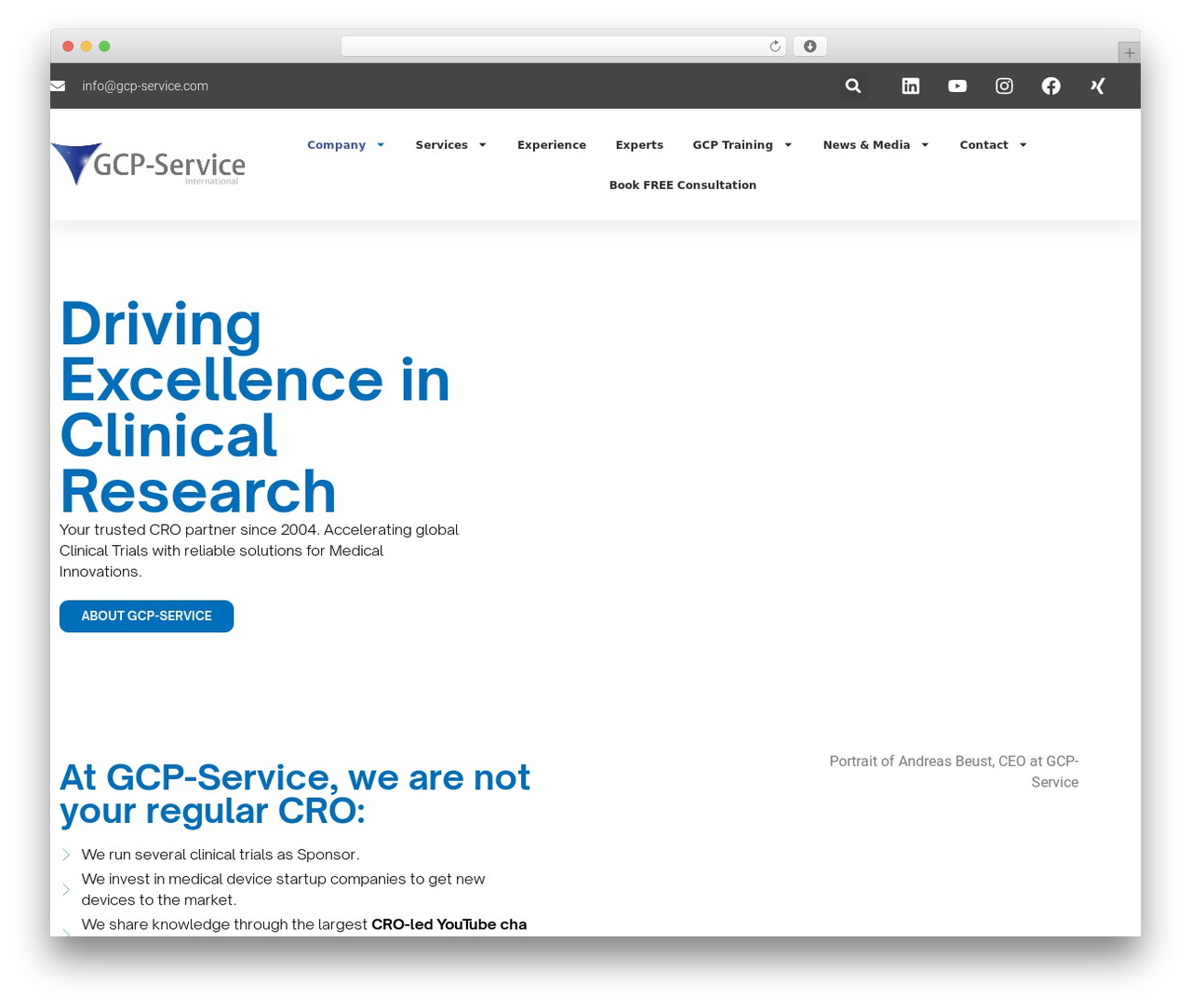 Hello Elementor Child theme WordPress - gcp-service.com