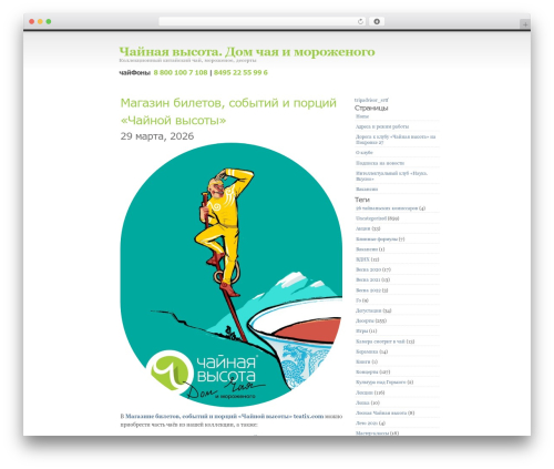 Simpla best WordPress theme - cha108.ru
