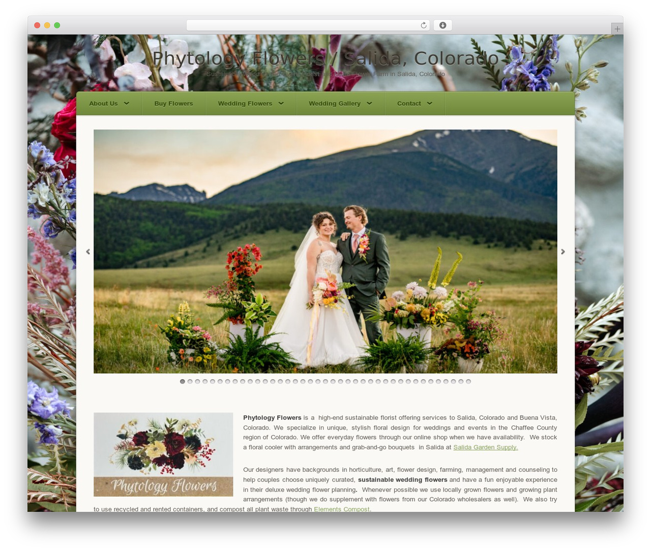 Theme WordPress Origami - phytologyflowers.com