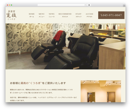 Themify Basic theme WordPress - salon-kutsurogi.com
