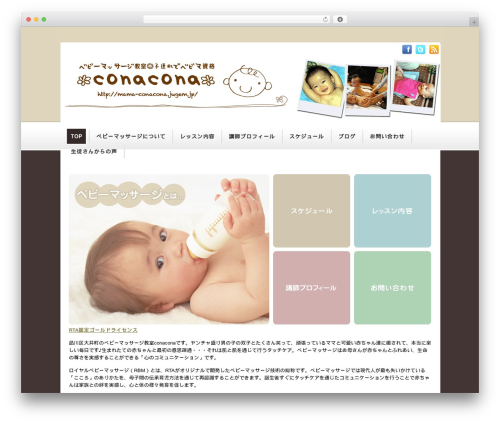 Softy WordPress theme - conacona.net