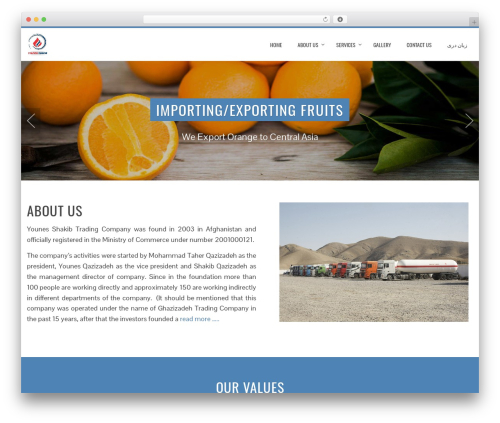 Total theme WordPress - younesshakib.com