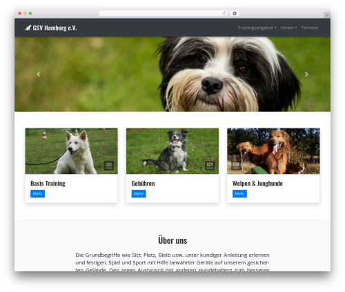 WP Bootstrap 4 WP theme - gsv-hamburg.com WP Bootstrap 4 WP theme - gsv-hamburg.com