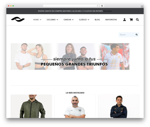 cms WordPress theme design - coachargentina.com