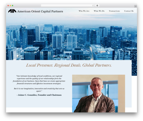 Hello Elementor WordPress theme - aocpartners.com