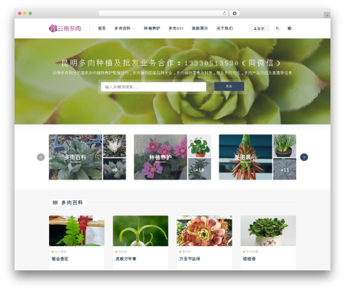 RiPro WordPress theme - ynduorou.com