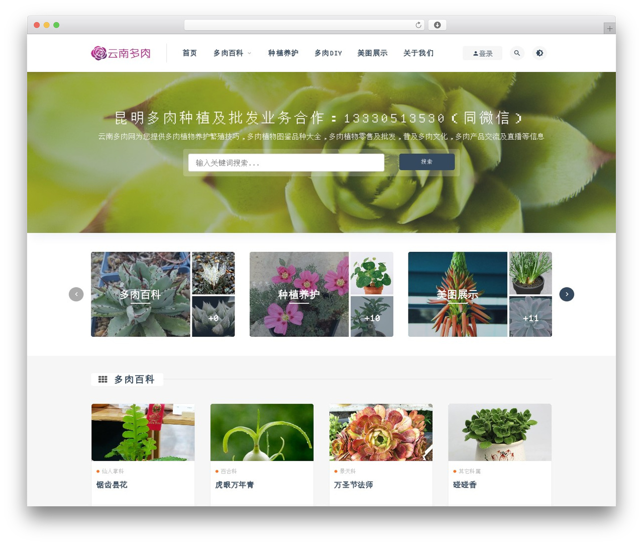 RiPro WordPress theme - ynduorou.com RiPro WordPress theme - ynduorou.com
