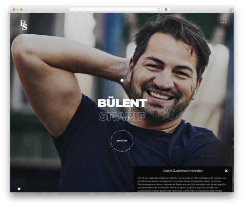 Stylex elementor WordPress plugin - bulentsharif.com