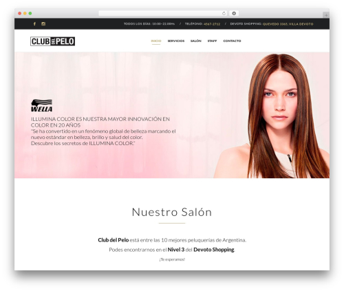 Template WordPress Hair & Beauty - clubdelpelo.com.ar