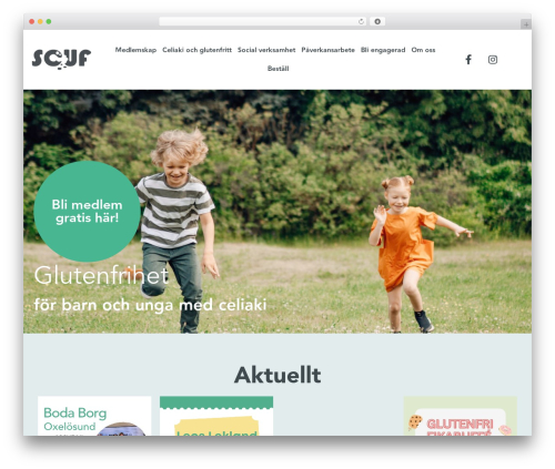 Theme WordPress Backbone - scuf.se