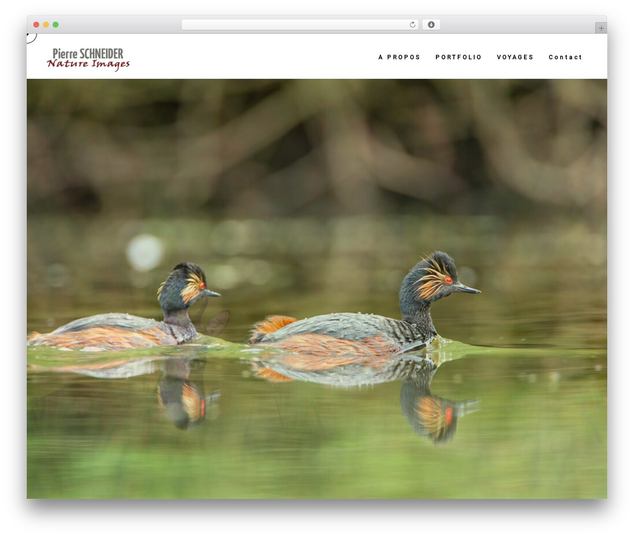 Theme WordPress Blacksilver - pierreschneider.fr