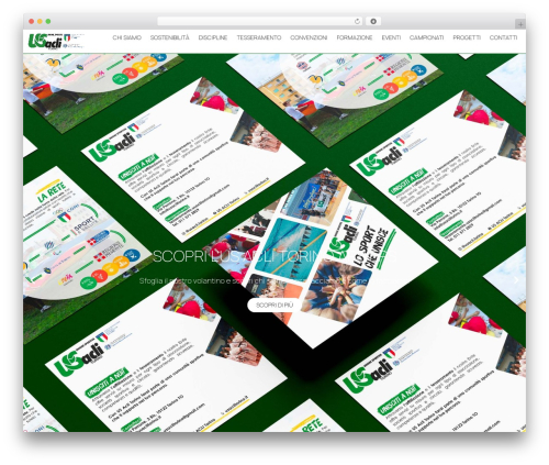 WordPress theme Hello Elementor - usaclitorino.it