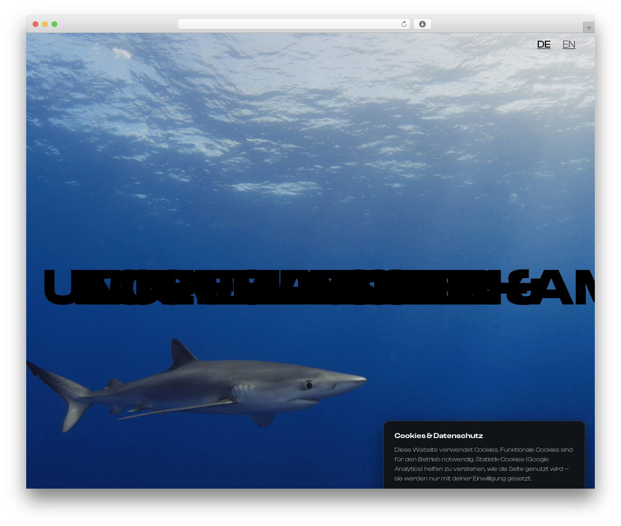Blacksilver WordPress theme - danielmkainz.com
