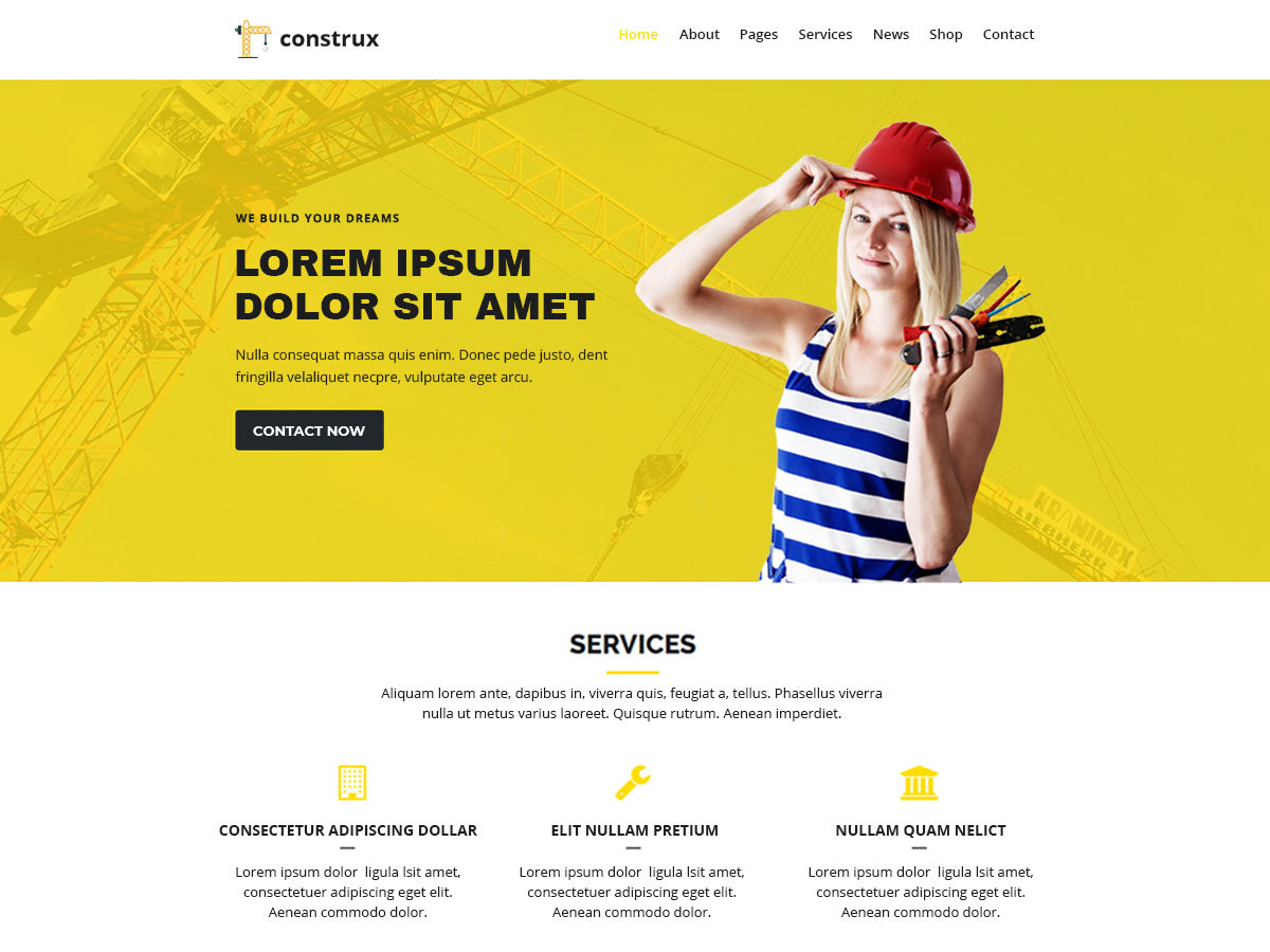 construx theme WordPress by wpthemedaddy