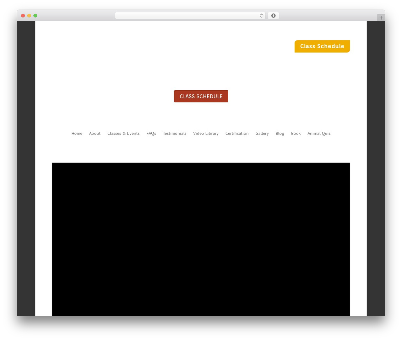Divi WordPress theme - sixanimalskungfu.com