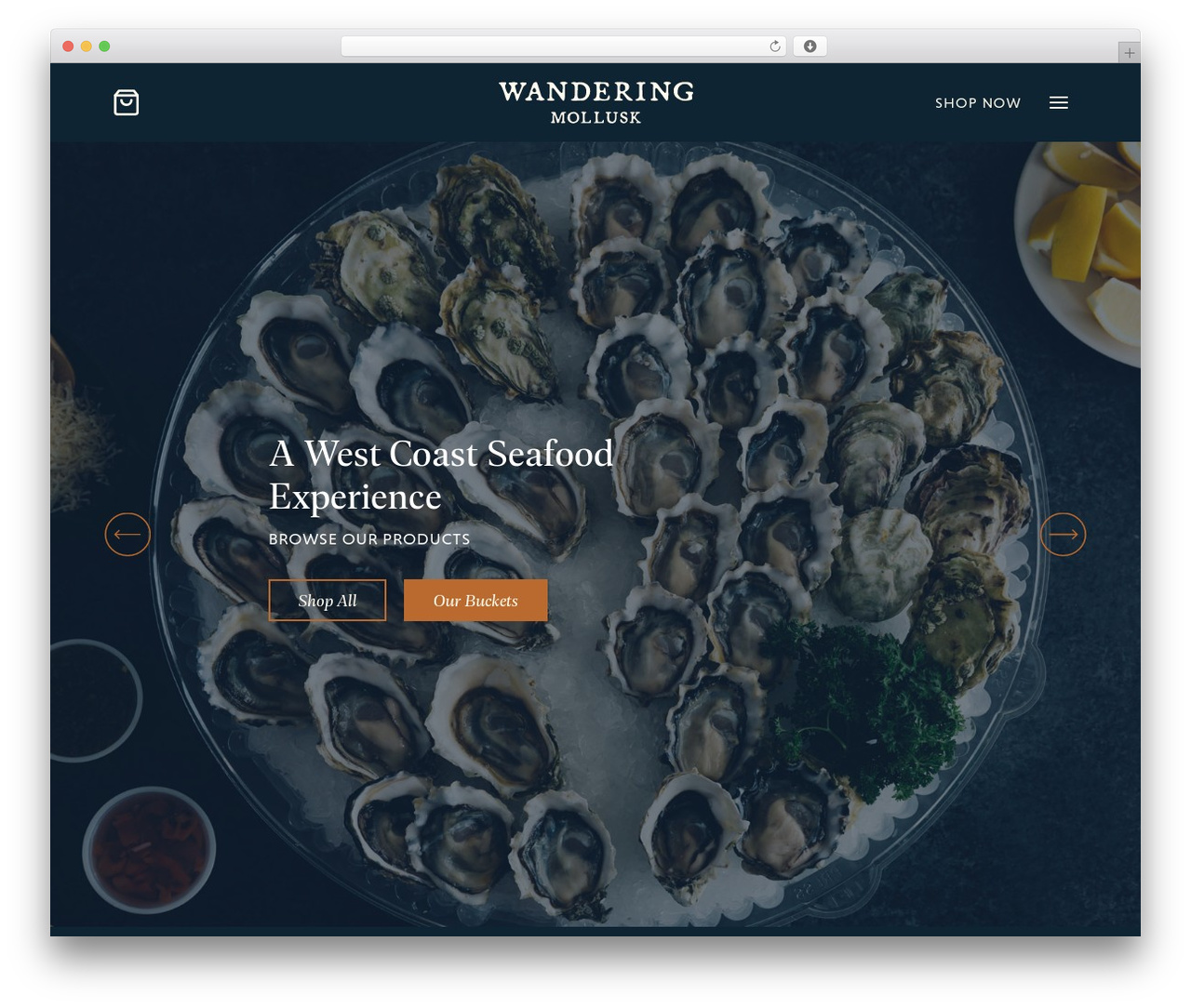 Theme WordPress Blank Theme - wanderingmollusk.com Theme WordPress Blank Theme - wanderingmollusk.com