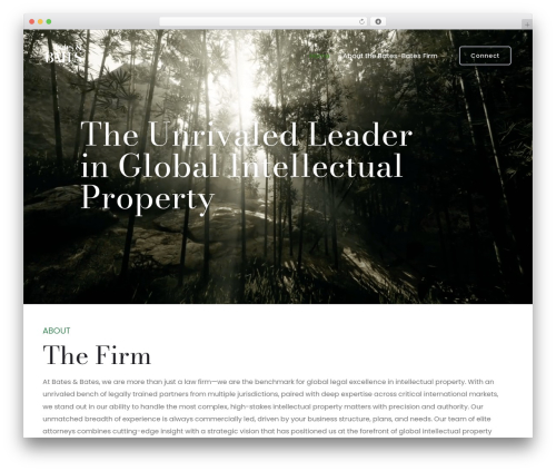 Trydo WordPress theme design - bates-bates.com