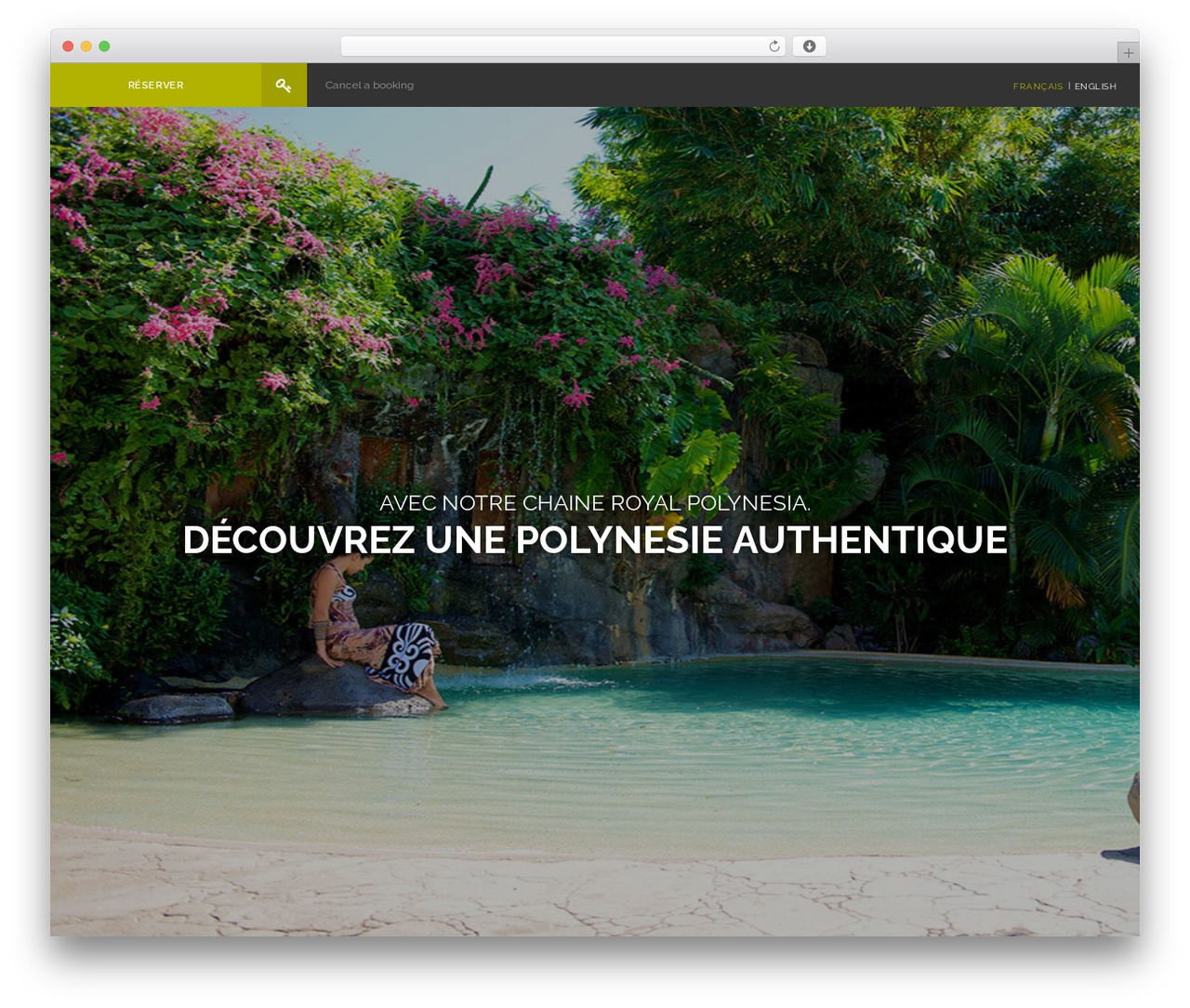 WordPress theme Curcuma Pro Theme - royalpolynesiahotel.com