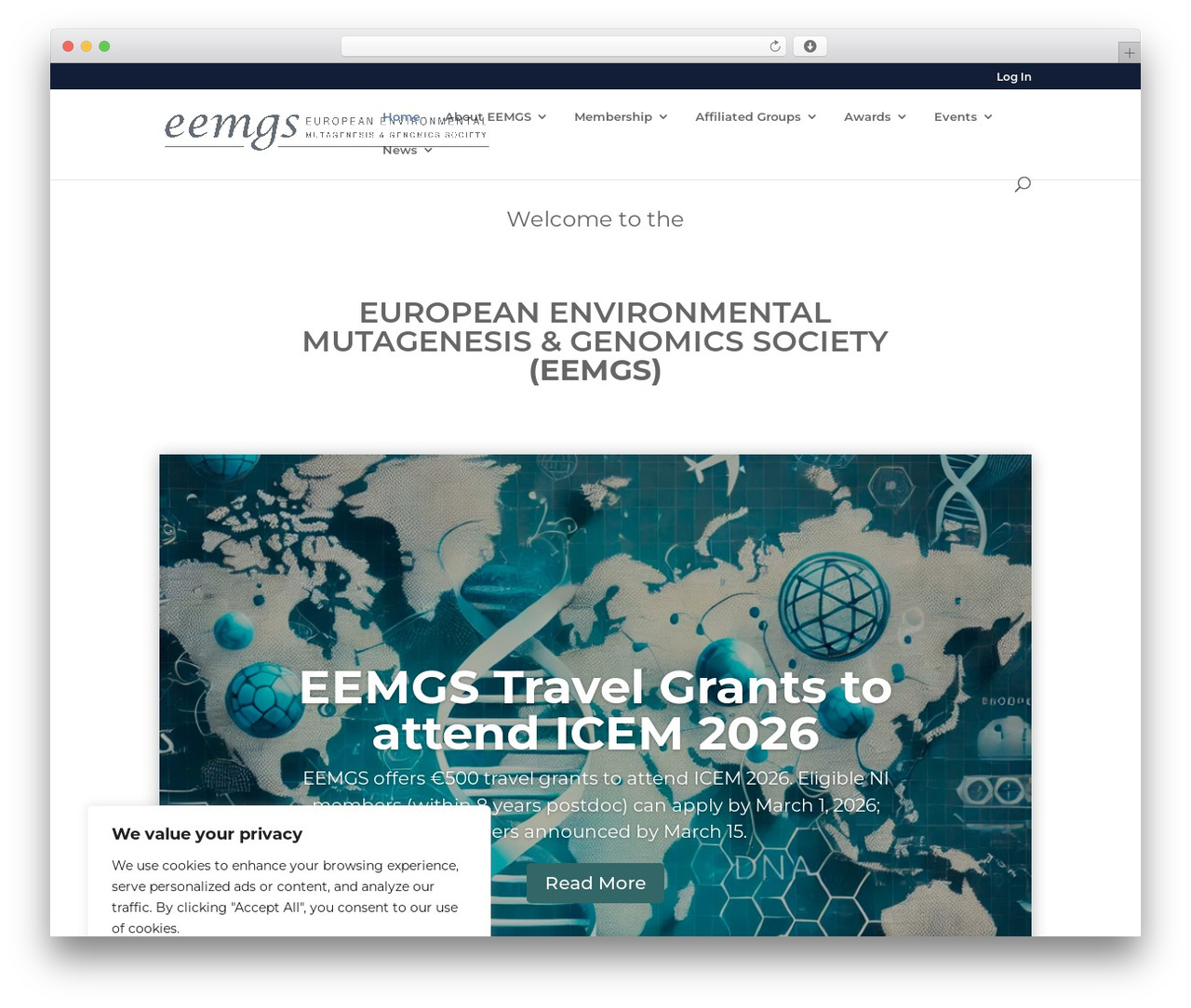 Divi theme WordPress - eemgs.eu