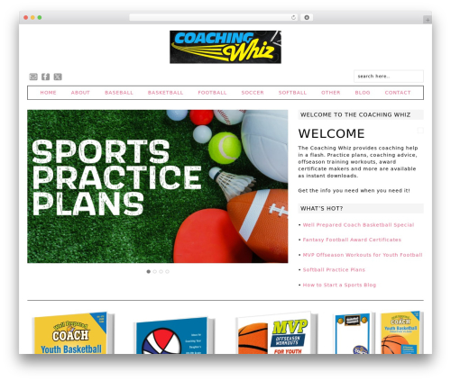 Fun WordPress Theme premium WordPress theme - coachingwhiz.com