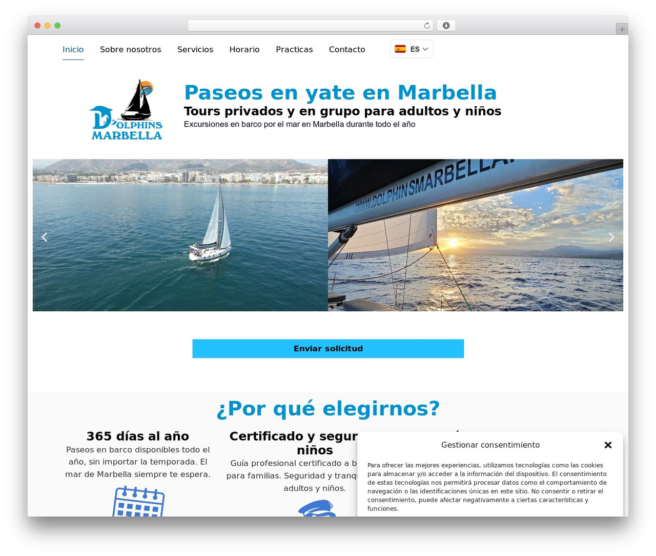 Hello Elementor WordPress theme design - dolphinsmarbella.com