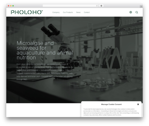 Salient theme WordPress - pholoho.com