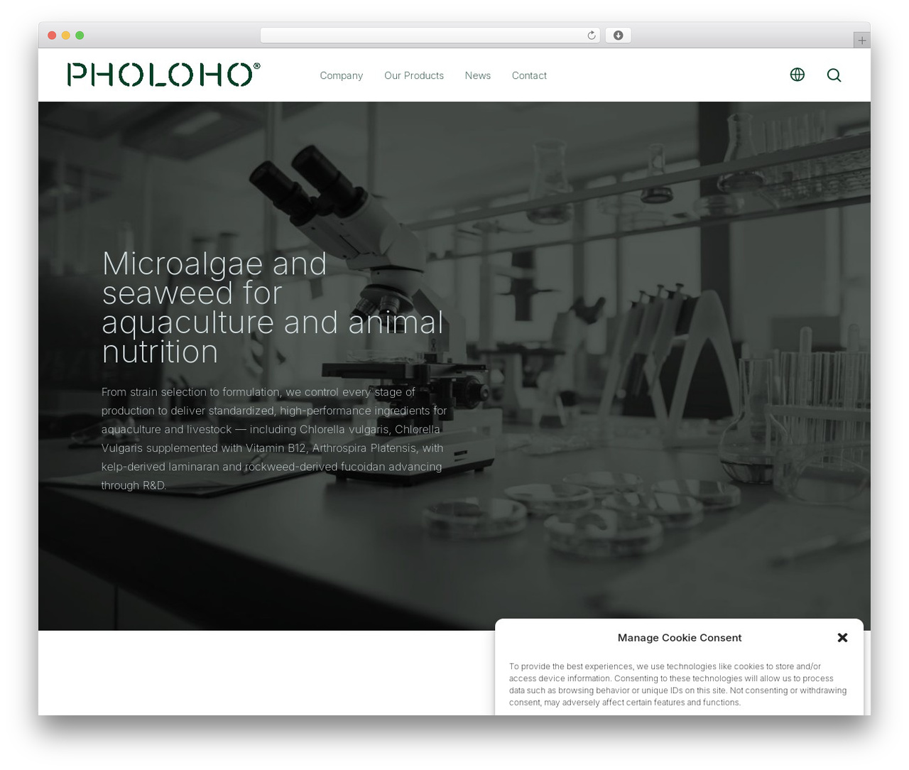 Salient theme WordPress - pholoho.com Salient theme WordPress - pholoho.com