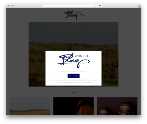Fresh framework WordPress plugin - weingut-plag.de