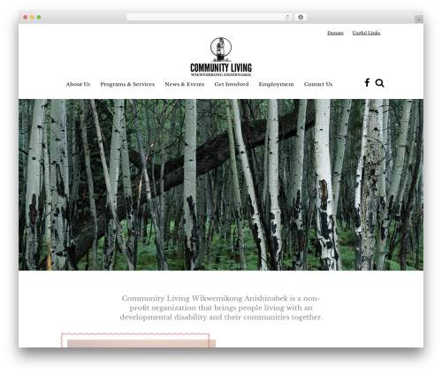 Theme WordPress CLA - clwanishinabek.org