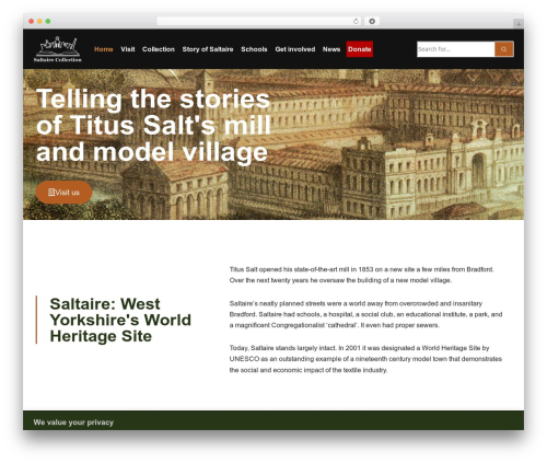 Ai WordPress plugin - saltairecollection.org