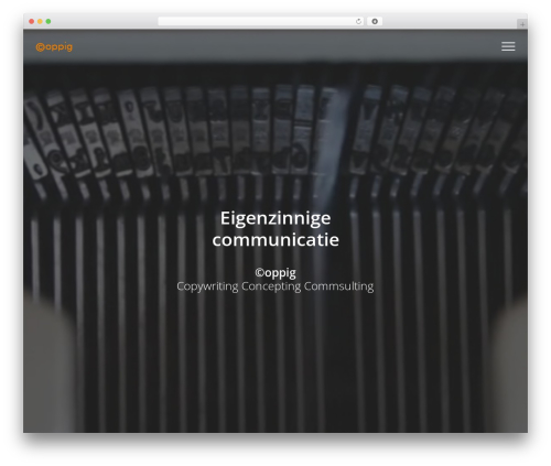 Showcase – Visual Composer Addon (showcase-visual-composer-addon) free WordPress plugin - coppig.nl