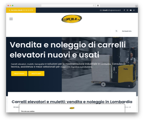 Boldman WordPress theme - vemocar.it